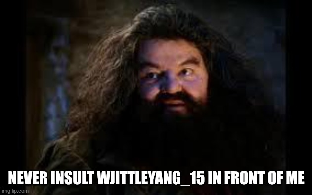 NEVER INSULT WJITTLEYANG_15 IN FRONT OF ME | image tagged in hagrid yer a wizard | made w/ Imgflip meme maker