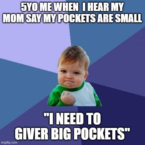 5YO ME WHEN  I HEAR MY MOM SAY MY POCKETS ARE SMALL "I NEED TO GIVER BIG POCKETS" | image tagged in memes,success kid | made w/ Imgflip meme maker