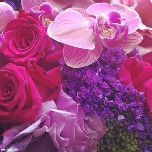 Flowers | image tagged in flowers | made w/ Imgflip meme maker