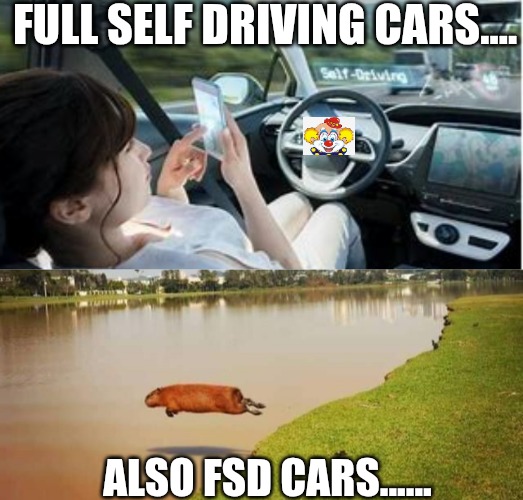 FULL SELF DRIVING CARS.... ALSO FSD CARS...... | made w/ Imgflip meme maker