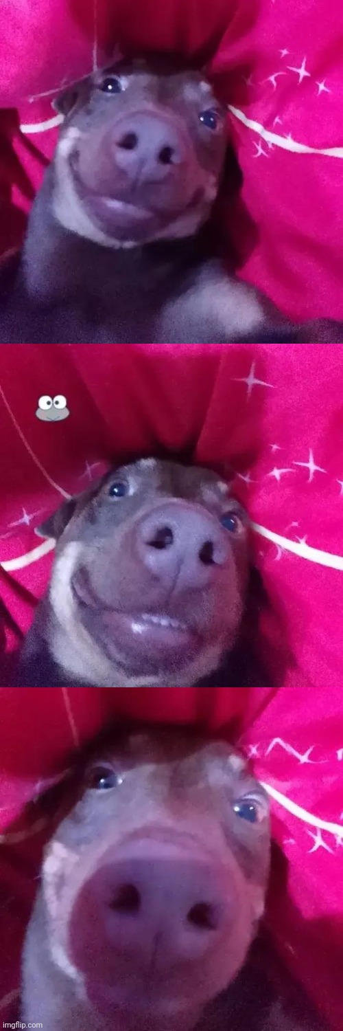 Silly_Memeus face reveal | image tagged in memeus | made w/ Imgflip meme maker