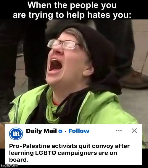 I blame the Tylenol | When the people you are trying to help hates you: | image tagged in crying liberal,politics lol,memes,irony | made w/ Imgflip meme maker