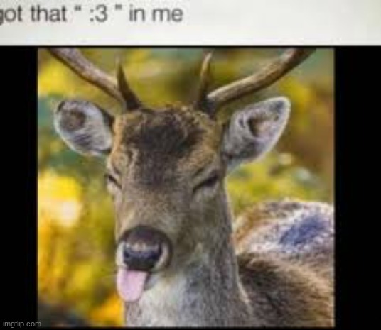 we deerposting now | made w/ Imgflip meme maker