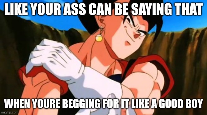 LIKE YOUR ASS CAN BE SAYING THAT WHEN YOURE BEGGING FOR IT LIKE A GOOD BOY | image tagged in vegito | made w/ Imgflip meme maker