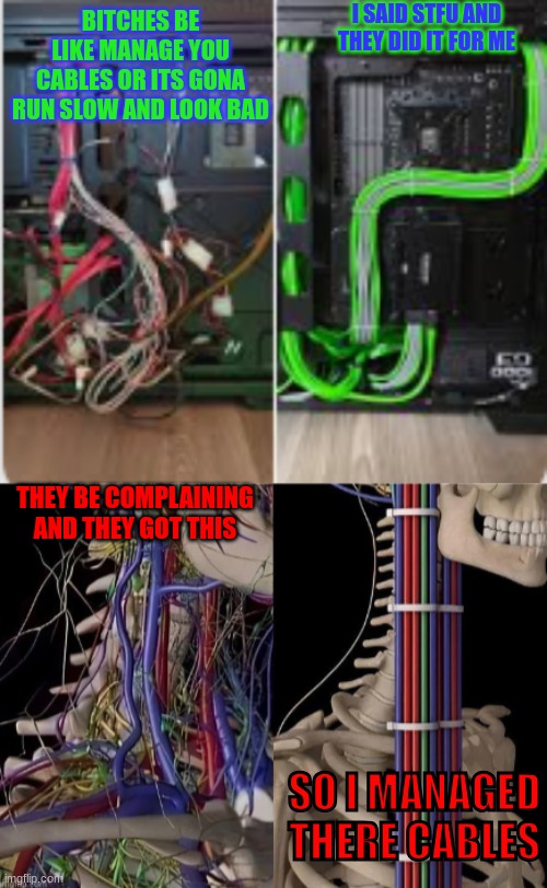 cabble management | I SAID STFU AND THEY DID IT FOR ME; BITCHES BE LIKE MANAGE YOU CABLES OR ITS GONA RUN SLOW AND LOOK BAD; THEY BE COMPLAINING AND THEY GOT THIS; SO I MANAGED THERE CABLES | image tagged in imgflip users,cursed,idk | made w/ Imgflip meme maker