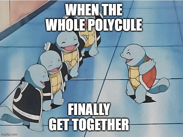 poly fun | WHEN THE WHOLE POLYCULE; FINALLY GET TOGETHER | image tagged in squirtle squad,polygamy,polycule,polyamory | made w/ Imgflip meme maker