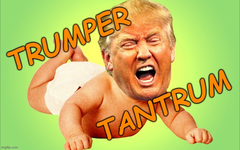 Baby Trump | TRUMPER TANTRUM | image tagged in baby trump | made w/ Imgflip meme maker
