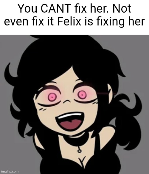 You CANT fix her. Not even fix it Felix is fixing her | made w/ Imgflip meme maker