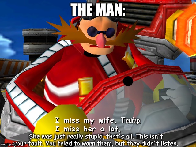 I miss my wife, Tails. | THE MAN: rump She was just really stupid, that's all. This isn't your fault. You tried to warn them, but they didn't listen. | image tagged in i miss my wife tails | made w/ Imgflip meme maker