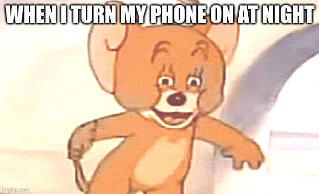 Bro me frfr | WHEN I TURN MY PHONE ON AT NIGHT | image tagged in funny | made w/ Imgflip meme maker
