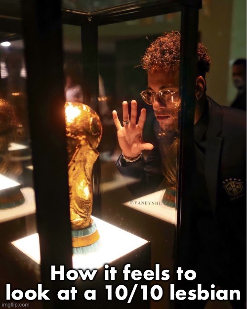 neymar with wc | How it feels to look at a 10/10 lesbian | image tagged in neymar with wc | made w/ Imgflip meme maker