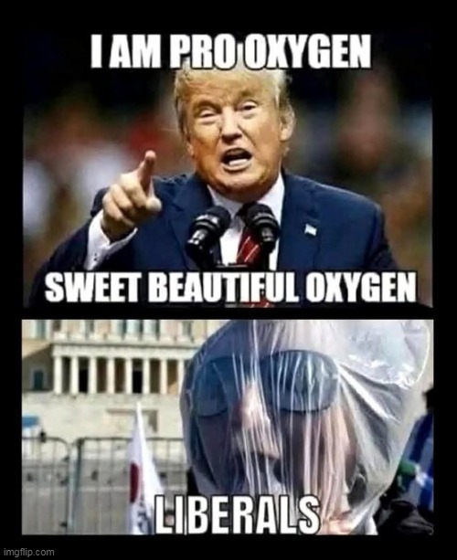 There is no bottom floor too low for liberals... | image tagged in djt,donald trump,tds,sick,liberals,this is beyond science | made w/ Imgflip meme maker