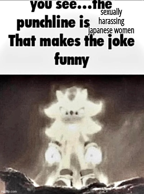 Shadow explains the joke | sexually harassing japanese women | image tagged in shadow explains the joke | made w/ Imgflip meme maker