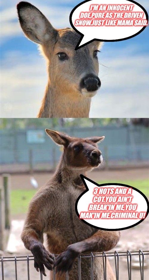 I'M AN INNOCENT DOE,PURE AS THE DRIVEN SNOW.JUST LIKE MAMA SAID. 3 HOTS AND A COT.YOU AIN'T BREAK'IN ME,YOU MAK'IN ME.CRIMINAL U! | made w/ Imgflip meme maker