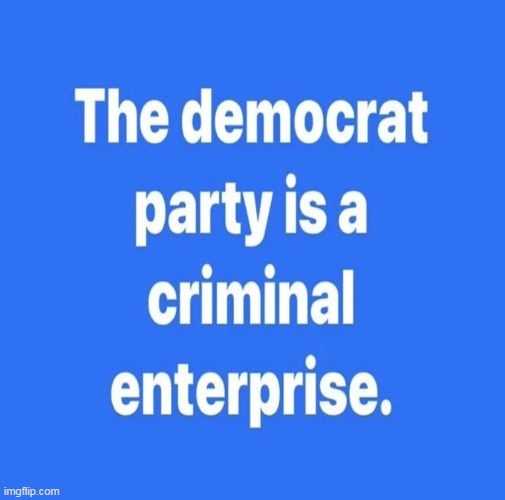 True or False? | image tagged in democrats,criminal,enterprise,hell yeah,what the hell is wrong with you people,seriously | made w/ Imgflip meme maker