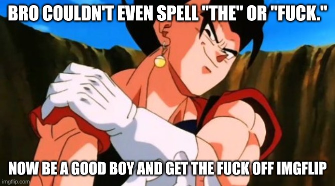BRO COULDN'T EVEN SPELL "THE" OR "FUCK." NOW BE A GOOD BOY AND GET THE FUCK OFF IMGFLIP | image tagged in vegito | made w/ Imgflip meme maker