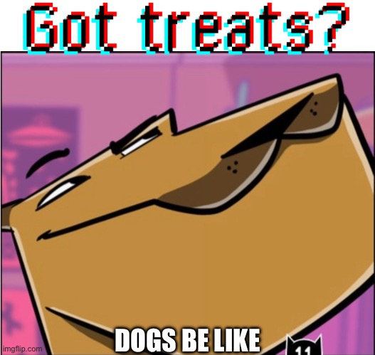 Got treats? | DOGS BE LIKE | image tagged in funny dogs,meme | made w/ Imgflip meme maker