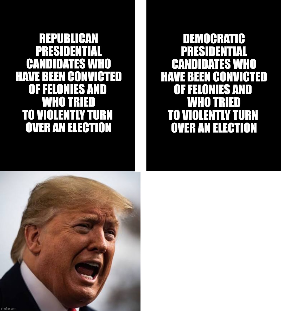 WE KNOW WHAT YOU ARE | |; REPUBLICAN PRESIDENTIAL CANDIDATES WHO HAVE BEEN CONVICTED OF FELONIES AND 
WHO TRIED TO VIOLENTLY TURN 
OVER AN ELECTION; DEMOCRATIC PRESIDENTIAL CANDIDATES WHO HAVE BEEN CONVICTED OF FELONIES AND 
WHO TRIED TO VIOLENTLY TURN 
OVER AN ELECTION | image tagged in jefthehobo,maga must go,fdt,fk maga | made w/ Imgflip meme maker