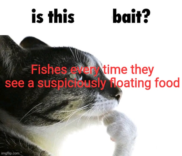 Fishes every time they see a suspiciously floating food | made w/ Imgflip meme maker