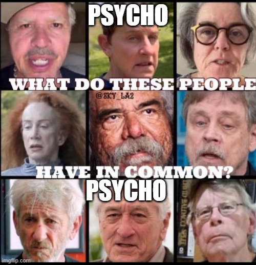 Really Ugly Libtards | PSYCHO; PSYCHO | image tagged in really ugly libtards | made w/ Imgflip meme maker