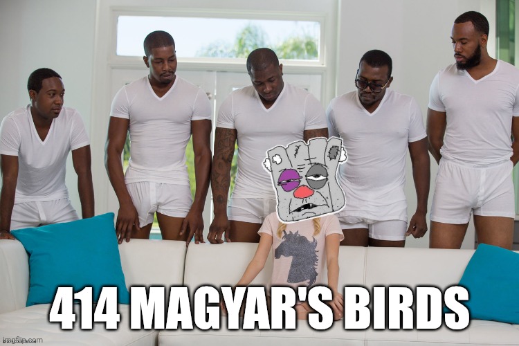 414 Magyar's Birds | 414 MAGYAR'S BIRDS | image tagged in piper perri surrounded 1 | made w/ Imgflip meme maker