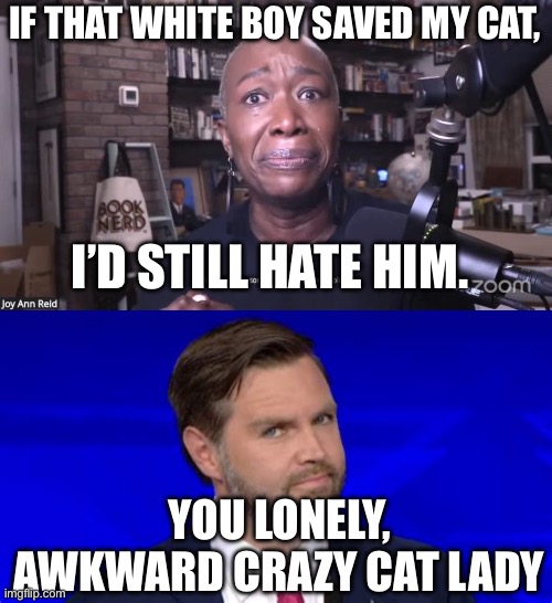 She said it. She actually said it. | IF THAT WHITE BOY SAVED MY CAT, I’D STILL HATE HIM. YOU LONELY, AWKWARD CRAZY CAT LADY | image tagged in joy reid fired,jd vance side eye,politics,political meme | made w/ Imgflip meme maker