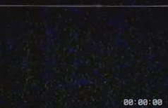 Data Logs Blank Meme Template