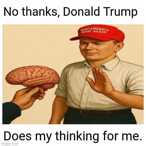 If they only had a brain | image tagged in trump,maga,no brain,thinking | made w/ Imgflip meme maker