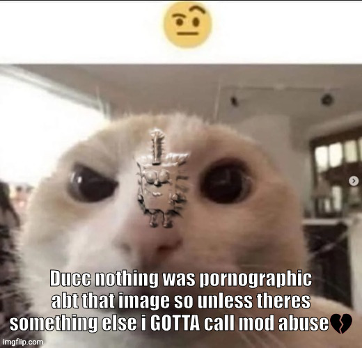 Raised eyebrow cat with spunch bop | Ducc nothing was pornographic abt that image so unless theres something else i GOTTA call mod abuse💔 | image tagged in raised eyebrow cat with spunch bop | made w/ Imgflip meme maker