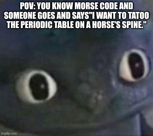 toothless shocked | POV: YOU KNOW MORSE CODE AND SOMEONE GOES AND SAYS"I WANT TO TATOO THE PERIODIC TABLE ON A HORSE'S SPINE." | image tagged in toothless shocked | made w/ Imgflip meme maker