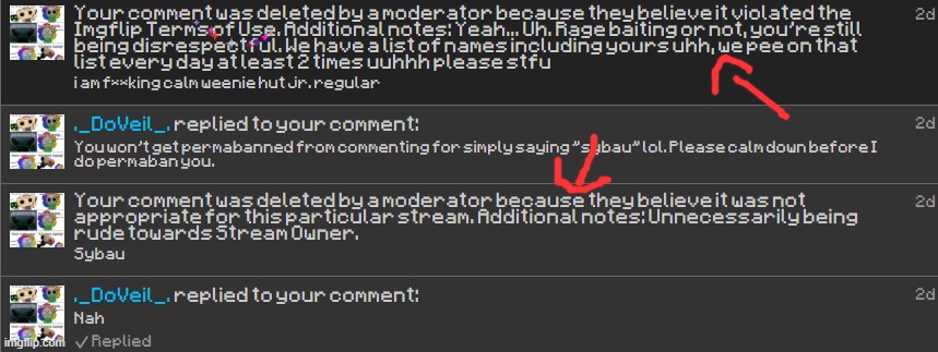is this mod abuse? | made w/ Imgflip meme maker