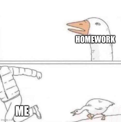 Goose Chase | HOMEWORK; ME | image tagged in goose chase | made w/ Imgflip meme maker