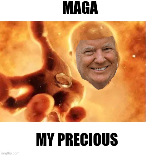 Blank Transparent Square Meme | MAGA MY PRECIOUS | image tagged in memes,blank transparent square | made w/ Imgflip meme maker