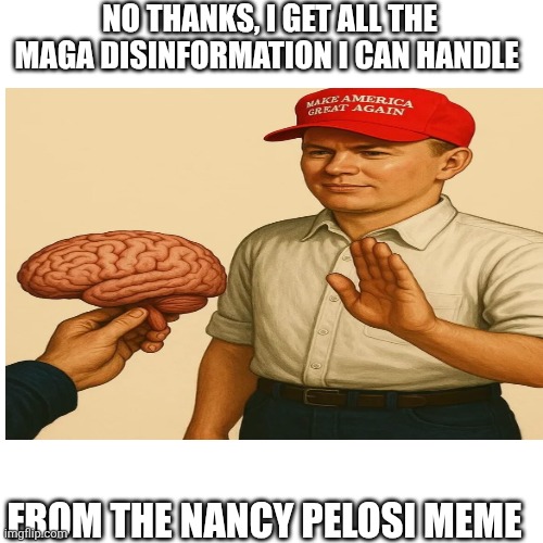 Blank Transparent Square Meme | NO THANKS, I GET ALL THE MAGA DISINFORMATION I CAN HANDLE FROM THE NANCY PELOSI MEME | image tagged in memes,blank transparent square | made w/ Imgflip meme maker