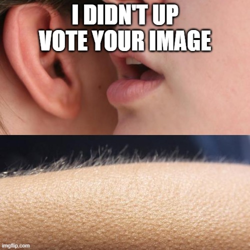 Whisper and Goosebumps | I DIDN'T UP VOTE YOUR IMAGE | image tagged in whisper and goosebumps | made w/ Imgflip meme maker