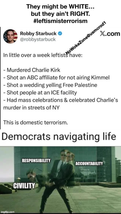 Party of hate and violence | image tagged in democrats,party of hate and violence | made w/ Imgflip meme maker