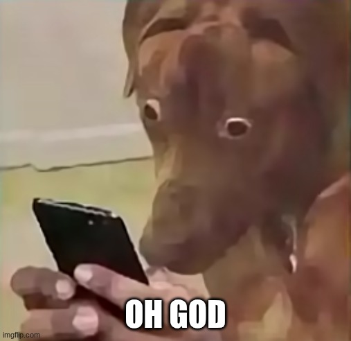 OH GOD | image tagged in dog looking at phone | made w/ Imgflip meme maker
