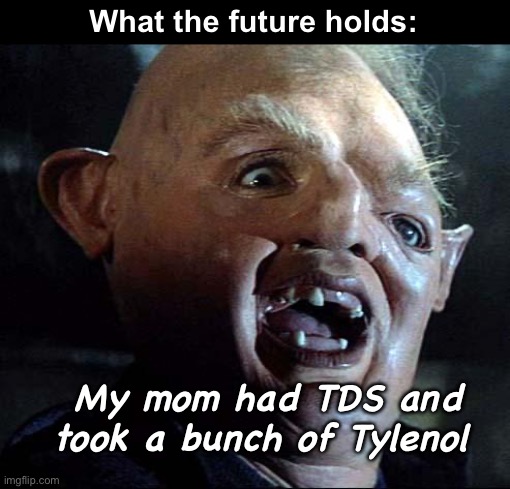 Hey you guys | What the future holds:; My mom had TDS and took a bunch of Tylenol | image tagged in politics lol,memes,future | made w/ Imgflip meme maker