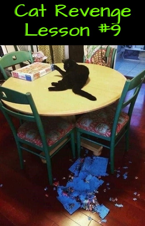 Cat Revenge Lesson 9 | Cat Revenge Lesson #9 | image tagged in cats,funny cat memes,life lessons,evil overlord rules,revenge,puzzles | made w/ Imgflip meme maker