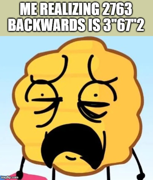 h ives | ME REALIZING 2763 BACKWARDS IS 3"67"2 | image tagged in h ives | made w/ Imgflip meme maker