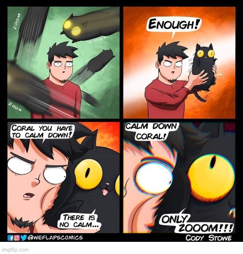 WeFlaps | image tagged in cats,comics,weflaps,zoom,calm down,coral | made w/ Imgflip meme maker