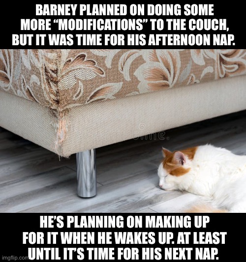 He’s done modifications to a lot of our furniture… | BARNEY PLANNED ON DOING SOME MORE “MODIFICATIONS” TO THE COUCH, BUT IT WAS TIME FOR HIS AFTERNOON NAP. HE’S PLANNING ON MAKING UP FOR IT WHEN HE WAKES UP. AT LEAST UNTIL IT’S TIME FOR HIS NEXT NAP. | image tagged in cats,modifications,couch,barney,nap | made w/ Imgflip meme maker