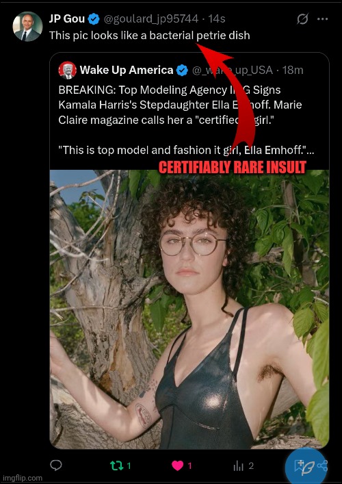 Bro Cooked | CERTIFIABLY RARE INSULT | image tagged in rare,insults | made w/ Imgflip meme maker