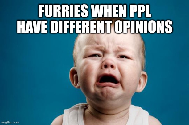 BABY CRYING | FURRIES WHEN PPL HAVE DIFFERENT OPINIONS | image tagged in baby crying | made w/ Imgflip meme maker