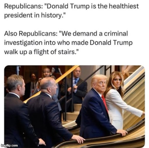 lol | image tagged in donald trump | made w/ Imgflip meme maker