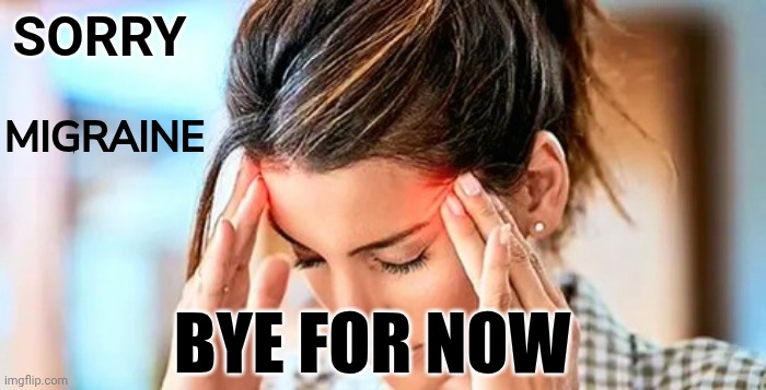 Sorry | SORRY; MIGRAINE; BYE FOR NOW | image tagged in headache | made w/ Imgflip meme maker