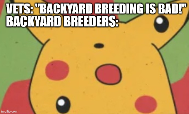 Pikachu mutated | VETS: "BACKYARD BREEDING IS BAD!"; BACKYARD BREEDERS: | image tagged in pikachu mutated | made w/ Imgflip meme maker