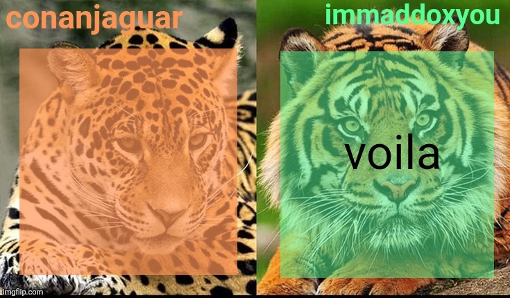 I know ts kinda sucks tho | voila | image tagged in conanjaguar x immaddoxyou shared temp | made w/ Imgflip meme maker