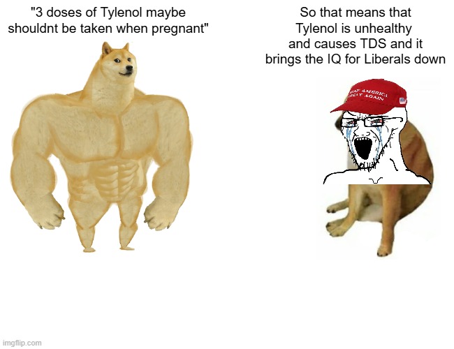 Buff Doge vs. Cheems | "3 doses of Tylenol maybe shouldnt be taken when pregnant"; So that means that Tylenol is unhealthy  and causes TDS and it brings the IQ for Liberals down | image tagged in memes,buff doge vs cheems | made w/ Imgflip meme maker