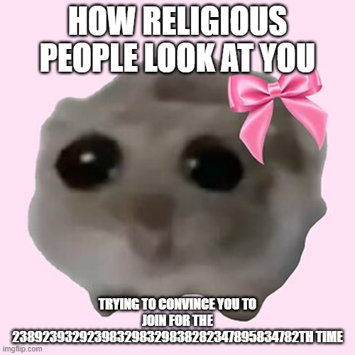 lol | HOW RELIGIOUS PEOPLE LOOK AT YOU; TRYING TO CONVINCE YOU TO JOIN FOR THE 238923932923983298329838282347895834782TH TIME | image tagged in sad hamster with bow girl,i respect christains,religions are fine,im just an atheist | made w/ Imgflip meme maker